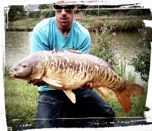 andy collins 28lbs